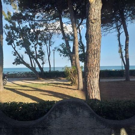 Room In Bb - Spacious Double Room Beside The Sea Pineto Exteriér fotografie