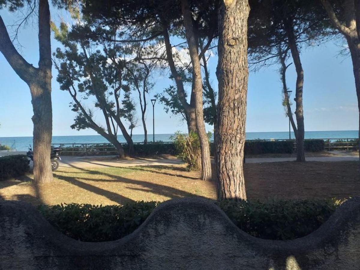 Room In Bb - Spacious Double Room Beside The Sea Pineto Exteriér fotografie